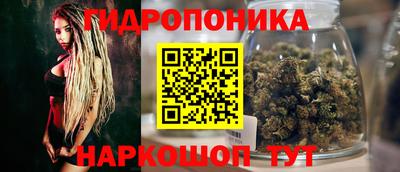 мяу мяу мука Бузулук