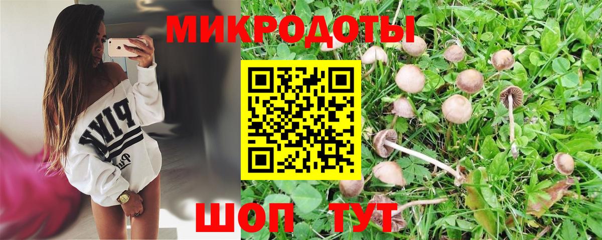 Псилоцибиновые грибы MAGIC MUSHROOMS Краснознаменск