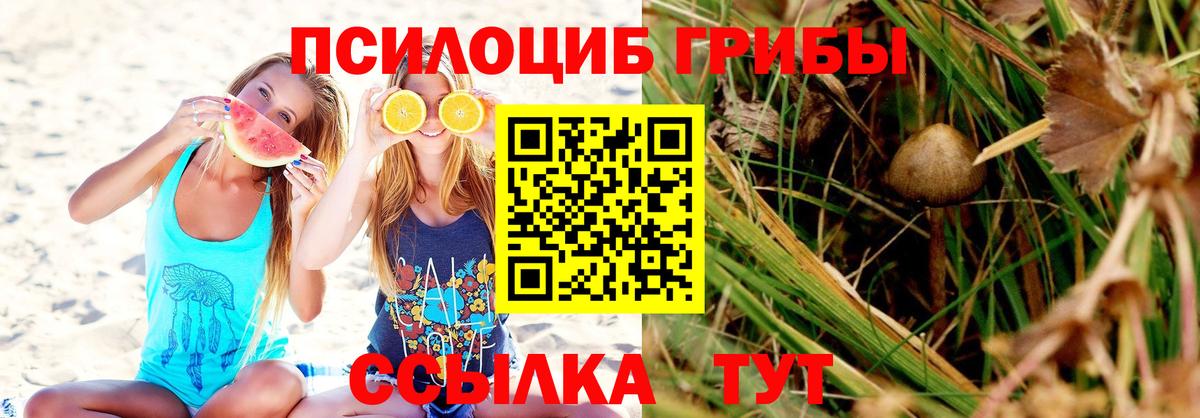 Галлюциногенные грибы мухоморы  Вход с VPN  Краснознаменск 